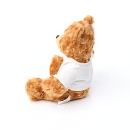 image_7